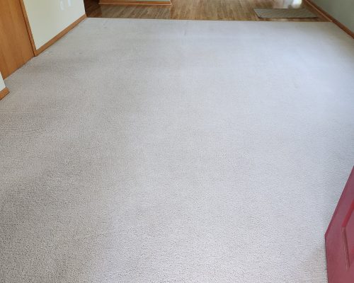 The room has light carpet flooring that pairs with green walls, transitioning to hardwood near the doorway. A red door stands to the right, and natural light pours in through a rear window.